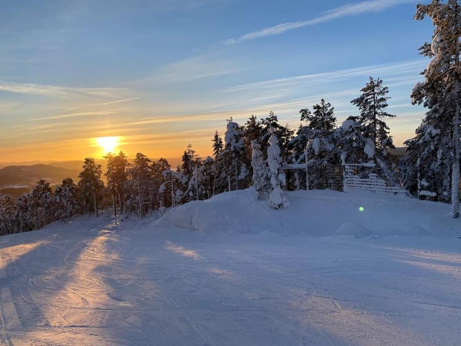 Modern Stuga Med Ski Lodge Kaensla Järvsö Eksteriør billede